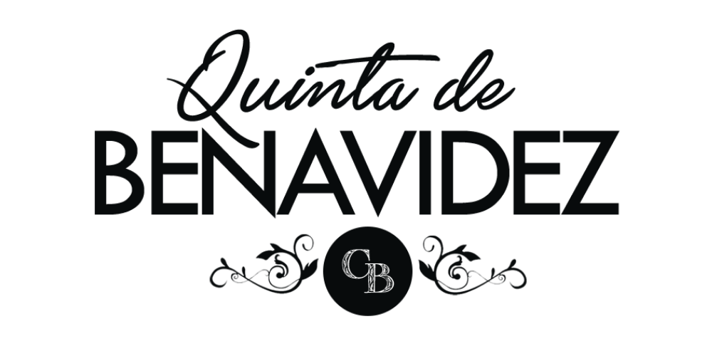 GRUPO 3 